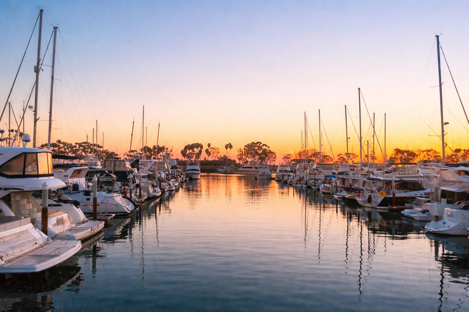 Dana Point Harbor View